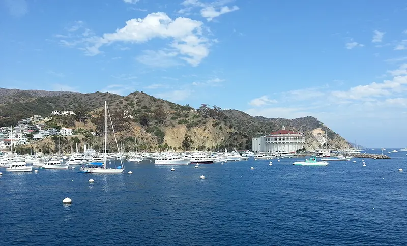 Catalina Island 1 - Thumb